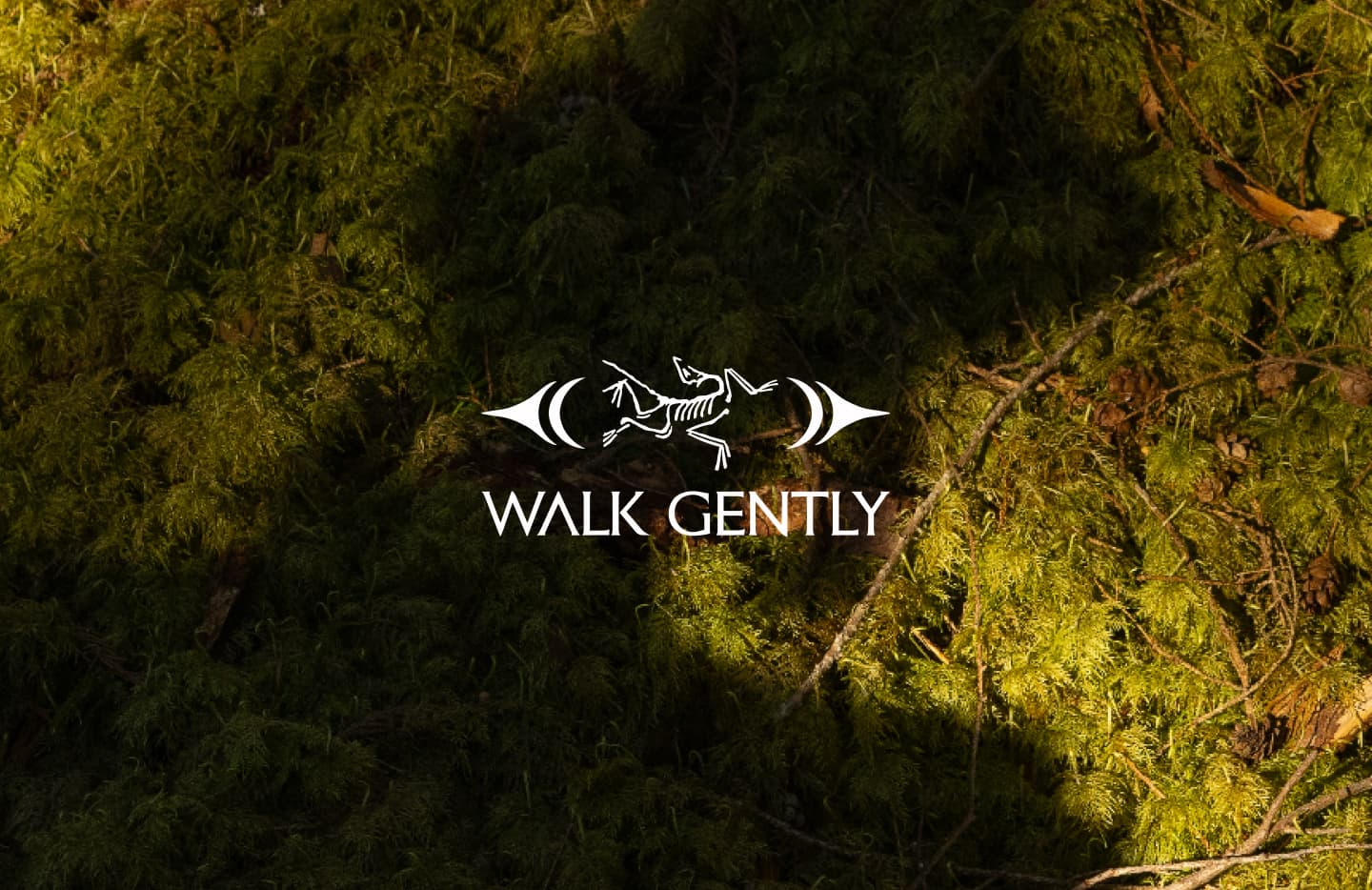 이끼로 덮인 숲 위의 Walk Gently 로고